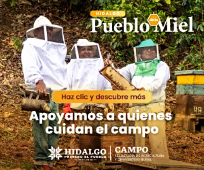 Campo hidalguense