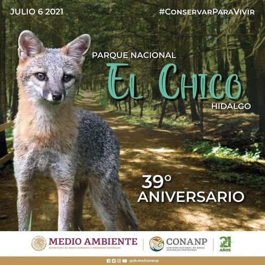 El Parque Nacional El Chico cumple 39 años; qué hacer en este bello lugar de Hidalgo