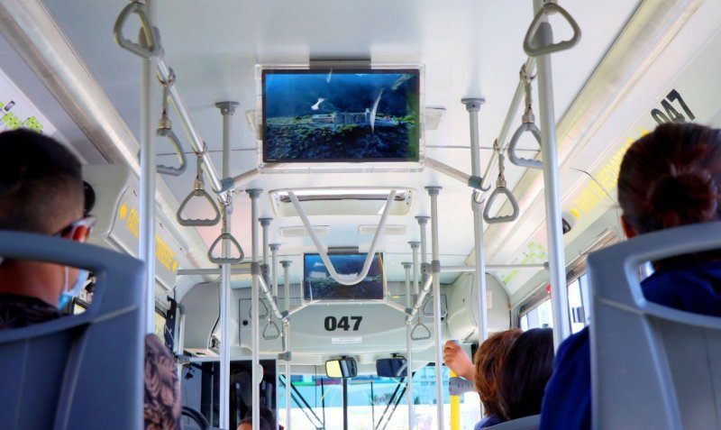 Tuzobús con entretenimiento: instalan pantallas y bocinas en unidades