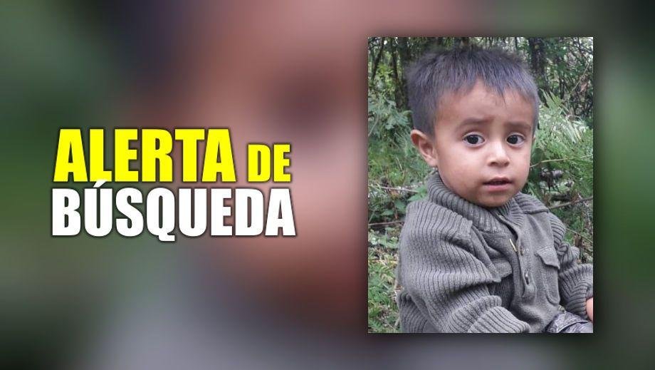Pequeño de 2 años de edad desapareció en Hidalgo; piden ayuda para localizarlo
