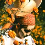 Hidalgo es segundo lugar en producción de flor de cempasúchil