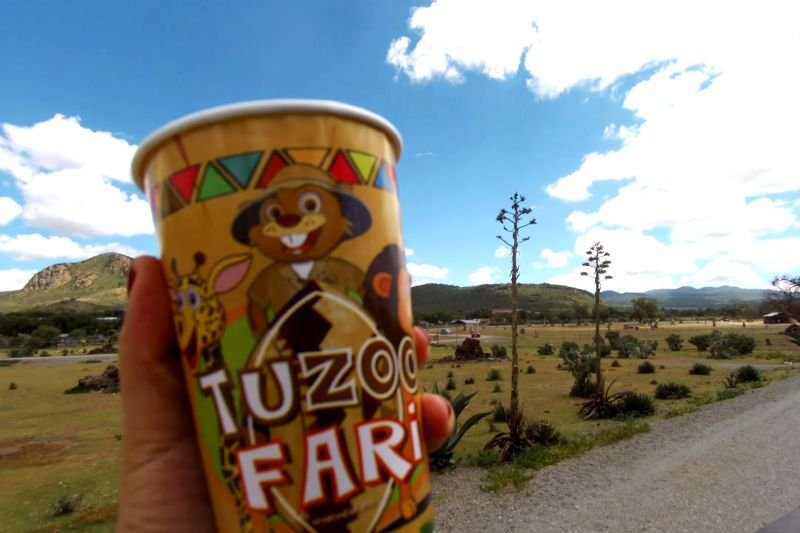 Así es el Tuzoofari, el zoológico tipo safari cerca de Pachuca