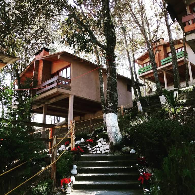 Así es El Zembo, un bosque mágico de Huasca 10 Así es El Zembo, un bosque mágico de Huasca
