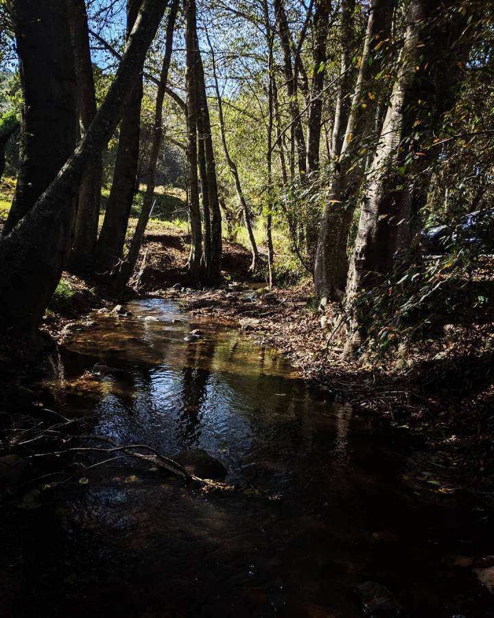 Así es El Zembo, un bosque mágico de Huasca 7 Así es El Zembo, un bosque mágico de Huasca