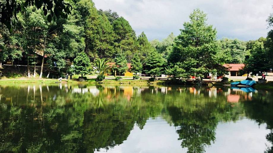 Así es El Zembo, un bosque mágico de Huasca