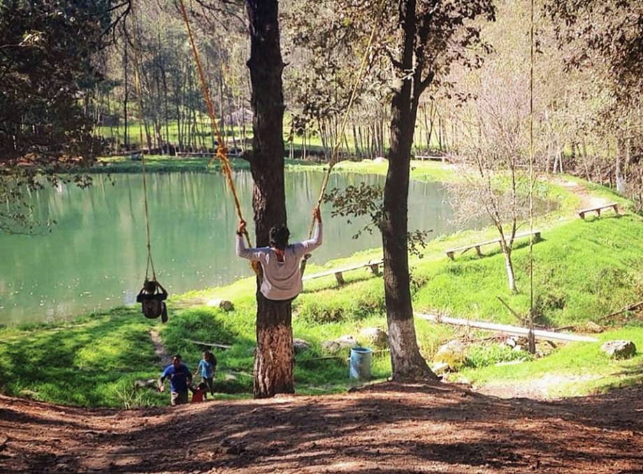Así es El Zembo, un bosque mágico de Huasca 6 Así es El Zembo, un bosque mágico de Huasca