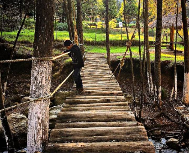 Así es El Zembo, un bosque mágico de Huasca 8 Así es El Zembo, un bosque mágico de Huasca