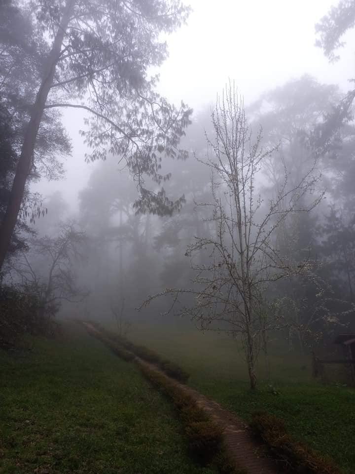 Las hermosas imágenes que está dejando el clima en Hidalgo