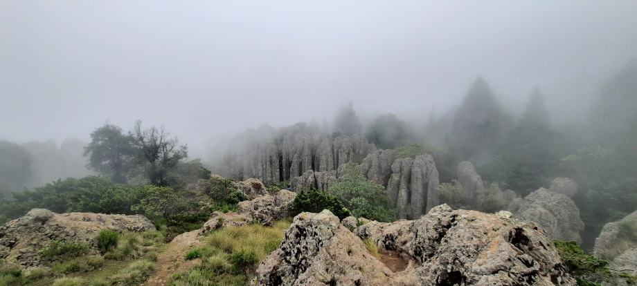 Las hermosas imágenes que está dejando el clima en Hidalgo