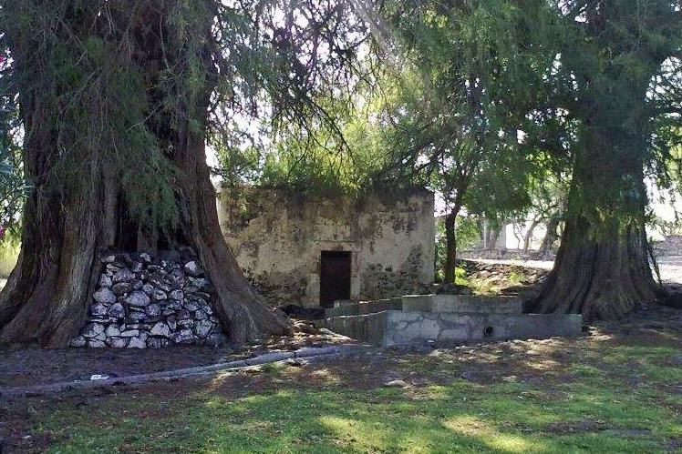 Conoce la leyenda de este rincón del Pueblo Mágico de Huichapan rodeado de sabinos