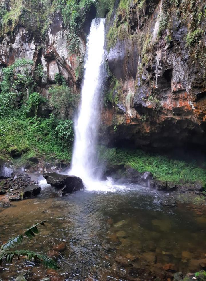 Las espectaculares cascadas que se forman en Tenango de Doria 4 Las espectaculares cascadas que se forman en Tenango de Doria