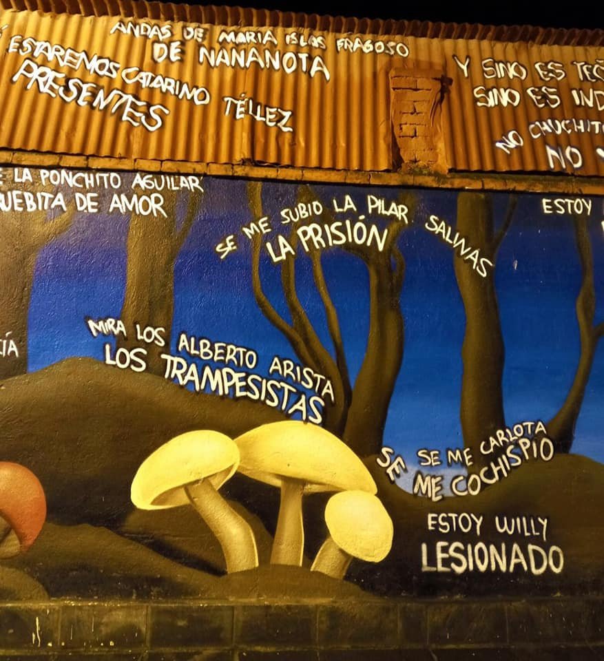 #Galería: Omitlán, Pueblo con Sabor de Hidalgo, se llena de color