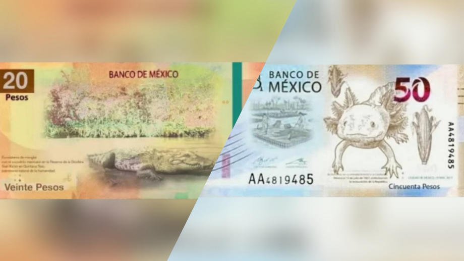 Así serán los nuevos billetes de 20 y 50 pesos