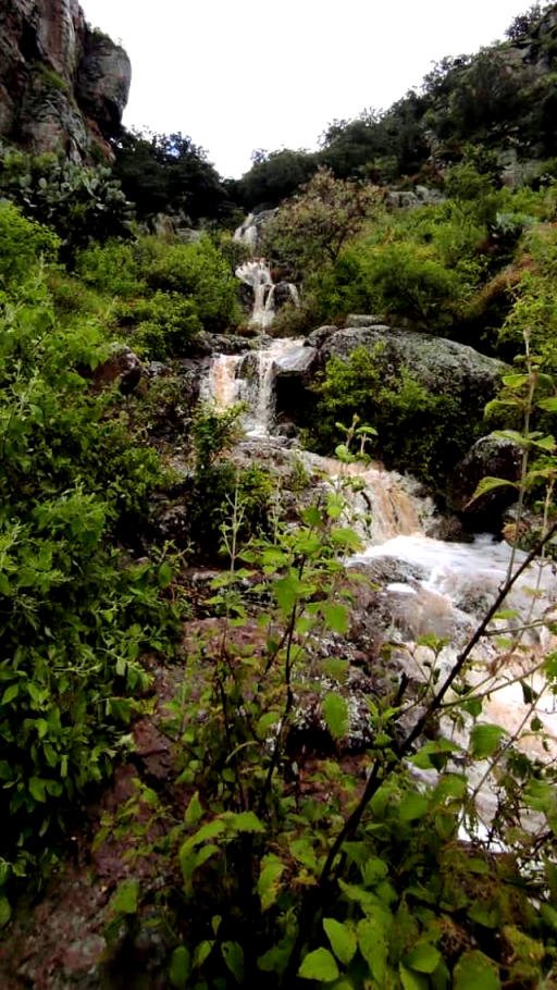 Ciclón Grace creó una bella cascada en esta zona arqueológica de Hidalgo 4 Ciclón Grace creó una bella cascada en esta zona arqueológica de Hidalgo