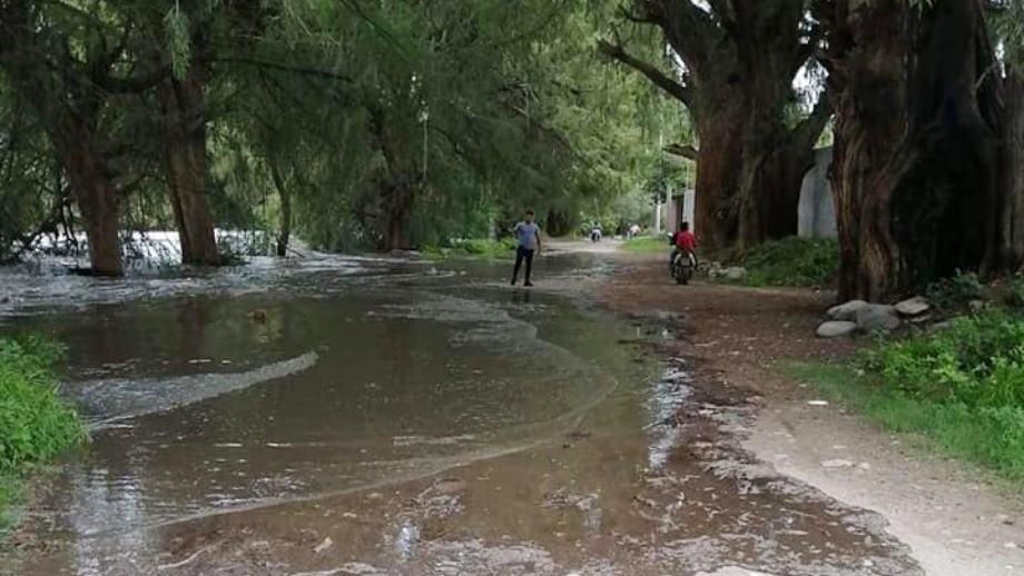 Aparecen cocodrilos en río Tula tras desbordamientos