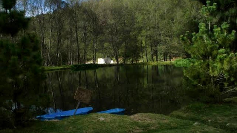 Jóvenes turistas se extravían tras internarse en el bosque del Zembo, en Huasca