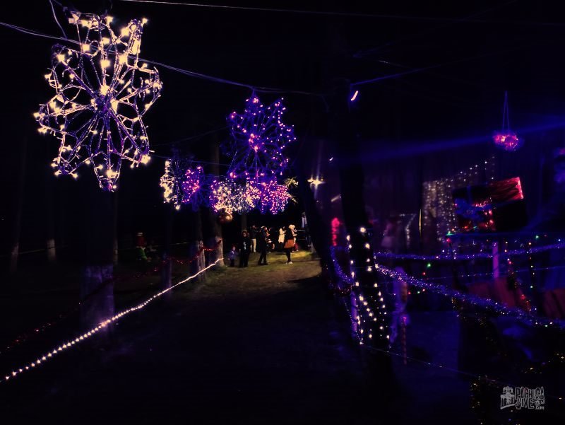 #Galería: Así es la Magia Navideña en el Bosque de El Cedral, en Mineral del Chico