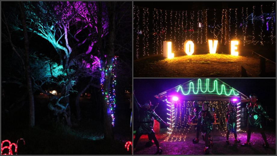 #Galería: Así es el recorrido por el Bosque Iluminado de Pachuca