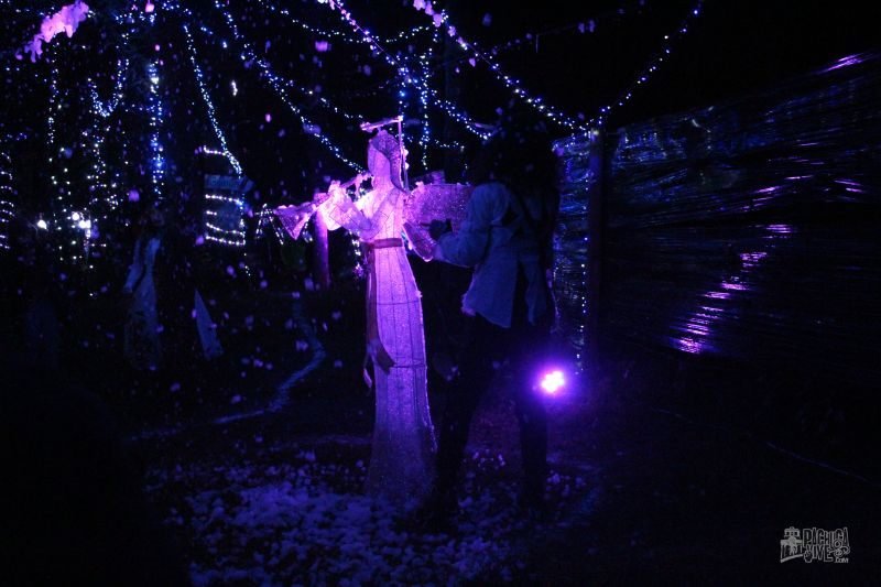 #Galería: Así es el recorrido por el Bosque Iluminado de Pachuca