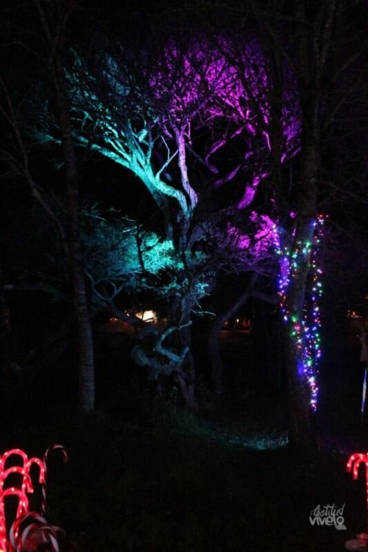 #Galería: Así es el recorrido por el Bosque Iluminado de Pachuca