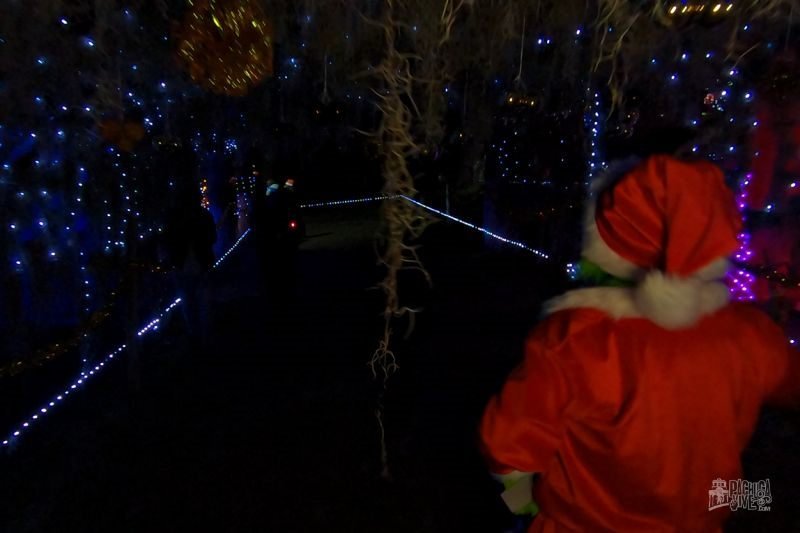#Galería: Así es la Magia Navideña en el Bosque de El Cedral, en Mineral del Chico