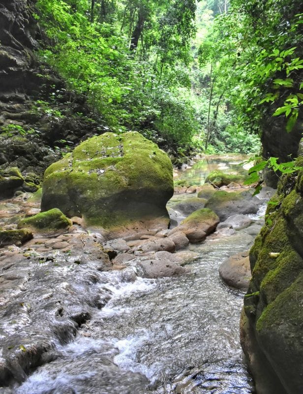 #Fotos: Cascadas del Infiernillo, paraíso virgen y enigmático de Hidalgo