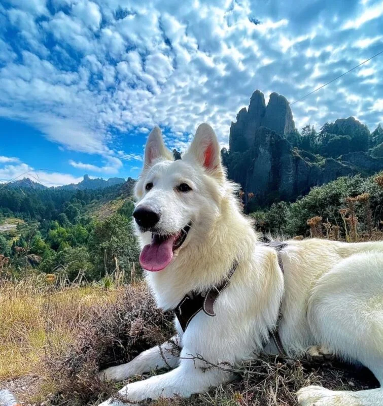 Valle Diego Mateo, todo lo que debes saber de este bello rincón de Hidalgo 7 Valle Diego Mateo, todo lo que debes saber de este bello rincón de Hidalgo