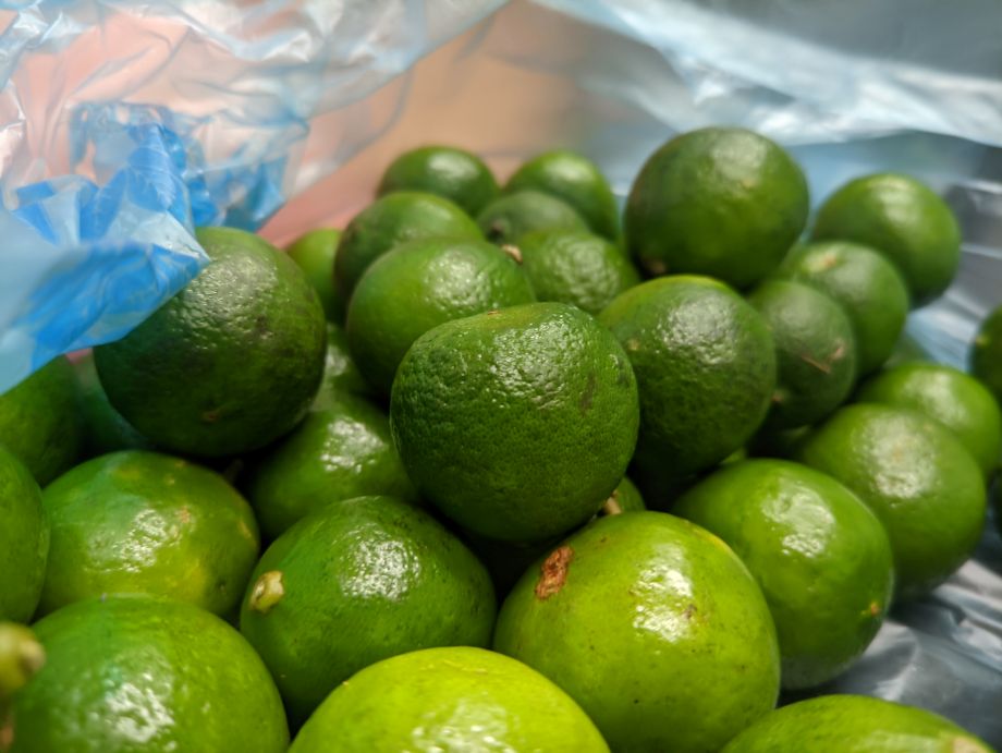 Precio del limón en Pachuca, por las nubes: hasta 80 pesos el kilo 4 Precio del limón en Pachuca, por las nubes: hasta 80 pesos el kilo