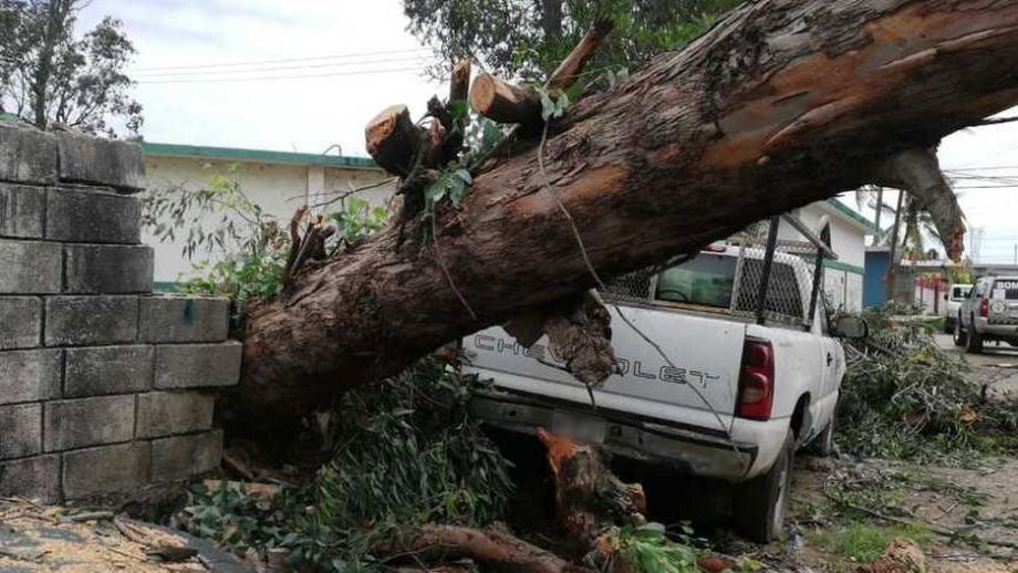 Tendremos rachas de viento en Pachuca que podrían provocar tolvaneras y caída de árboles