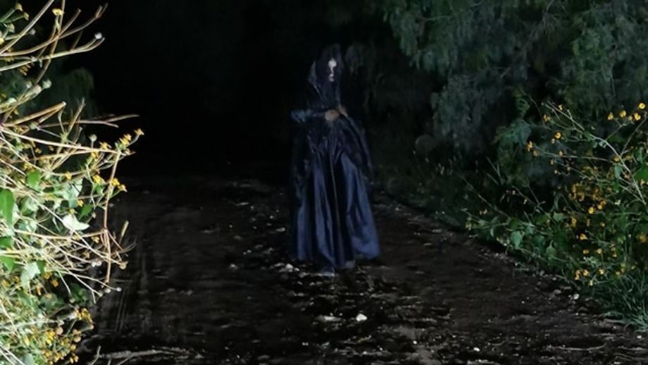 Pachuquilla tendrá un "Sendero de las Brujas", experiencia escalofriante en la naturaleza