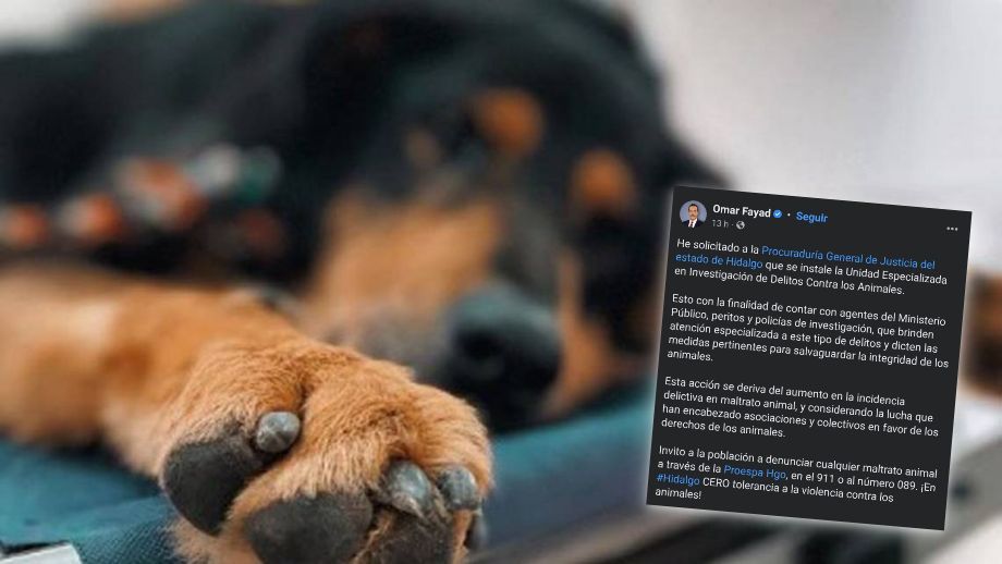 Hidalgo tendrá unidad especial para investigar delitos contra animales