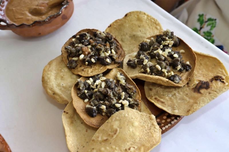 Exóticos y deliciosos: galería de platillos de la Muestra Gastronómica de Santiago de Anaya
