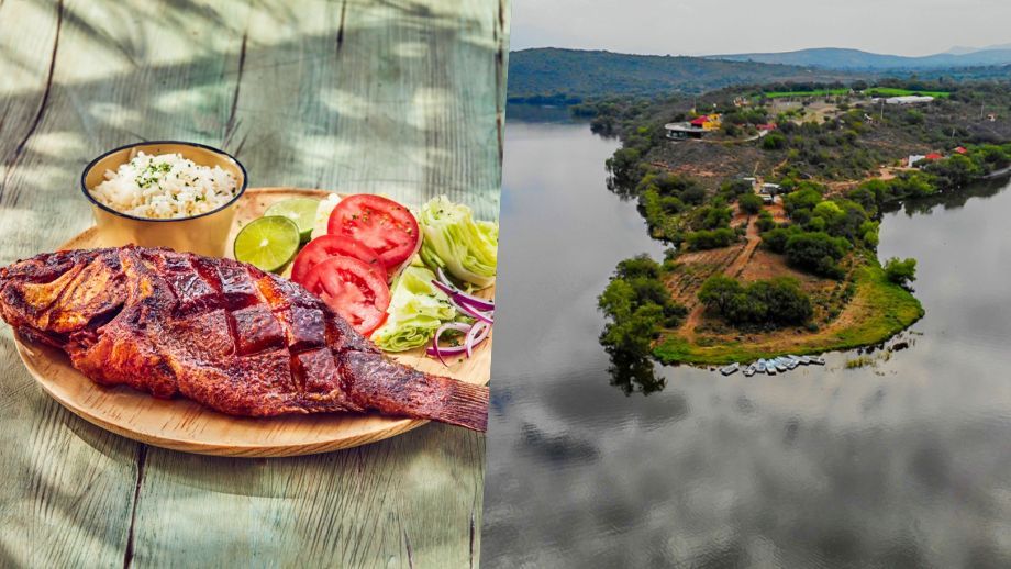 Habrá Festival Gastronómico de la Mojarra en bello centro ecoturístico de Hidalgo