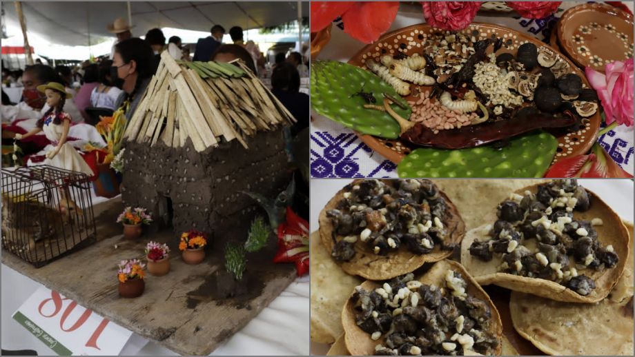 Exóticos y deliciosos: galería de platillos de la Muestra Gastronómica de Santiago de Anaya