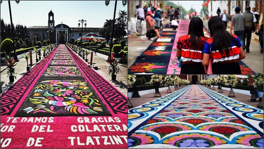 Llegó la época de las hermosas alfombras multicolor de Acaxochitlán