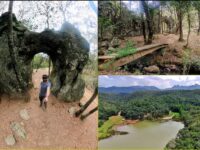 #ElArquito 🏞️ El parque con una curiosa formación rocosa escondida en el bosque de Huasca