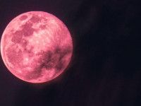 Ya viene la Superluna de Fresa, el esperado fenómeno astronómico de junio