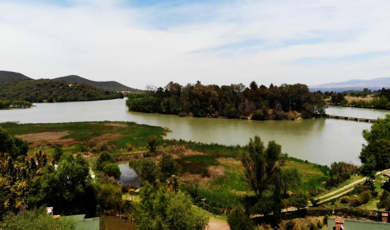 En Hidalgo también hay avistamiento de luciérnagas: tienen una reserva en Huasca 4 En Hidalgo también hay avistamiento de luciérnagas: tienen una reserva en Huasca