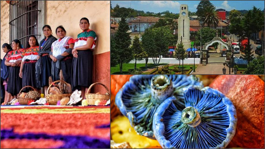 Este bello pueblo de Hidalgo tendrá festival del hongo y la manzana