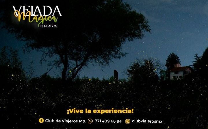 En Hidalgo también hay avistamiento de luciérnagas: tienen una reserva en Huasca