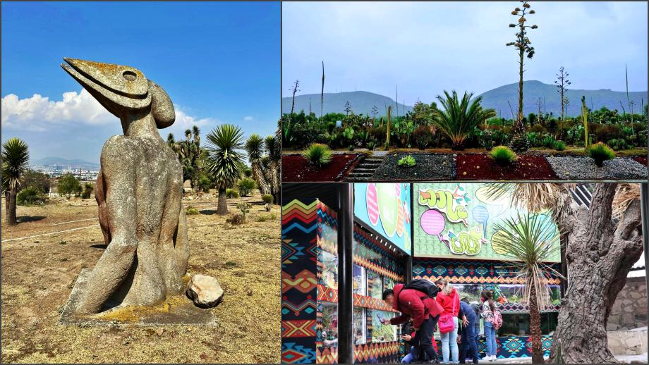 Recorridos guiados por la naturaleza en parque ecológico sin salir de Pachuca