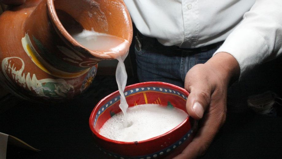Este domingo, el 4to Festival del Pulque Gastronómico y Artesanal de Hidalgo