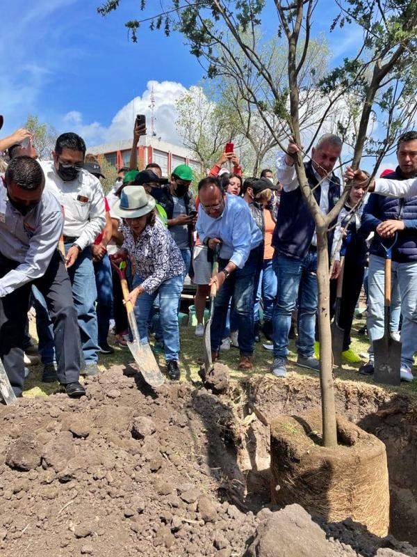 Reforestan emblemático jardín de Pachuca que fue devastado por una plaga