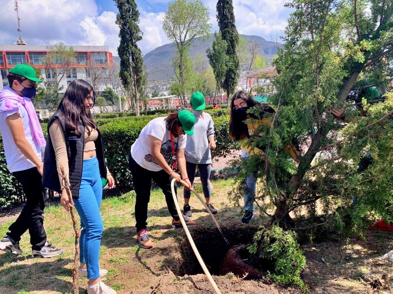 Reforestan emblemático jardín de Pachuca que fue devastado por una plaga