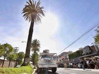 Por retiro de palmera, habrá cierre de vialidades en Pachuca
