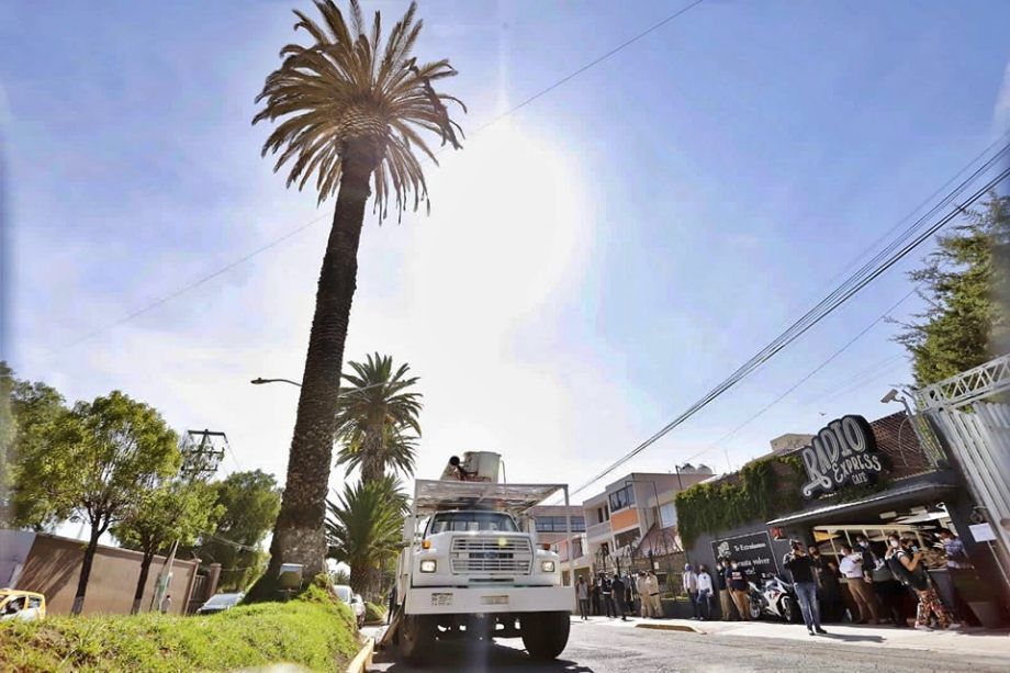 Por retiro de palmera, habrá cierre de vialidades en Pachuca