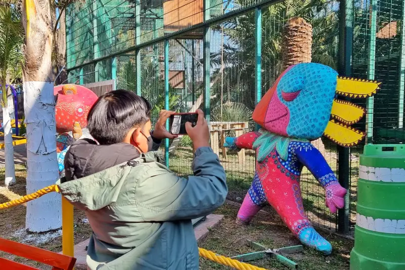 Volvió a abrir el Bioparque de Convivencia Pachuca; esto puedes encontrar