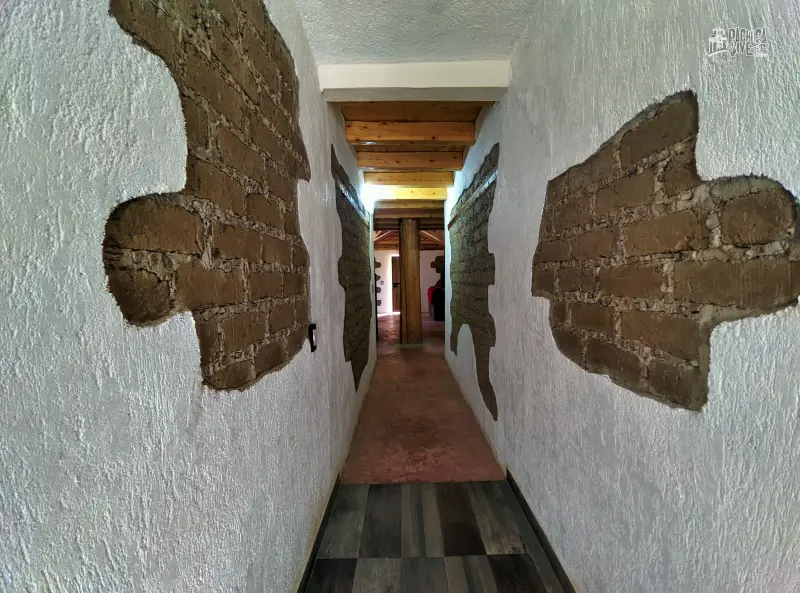Casa de Tierra: la cabaña familiar ideal para disfrutar el bosque de Mineral del Chico