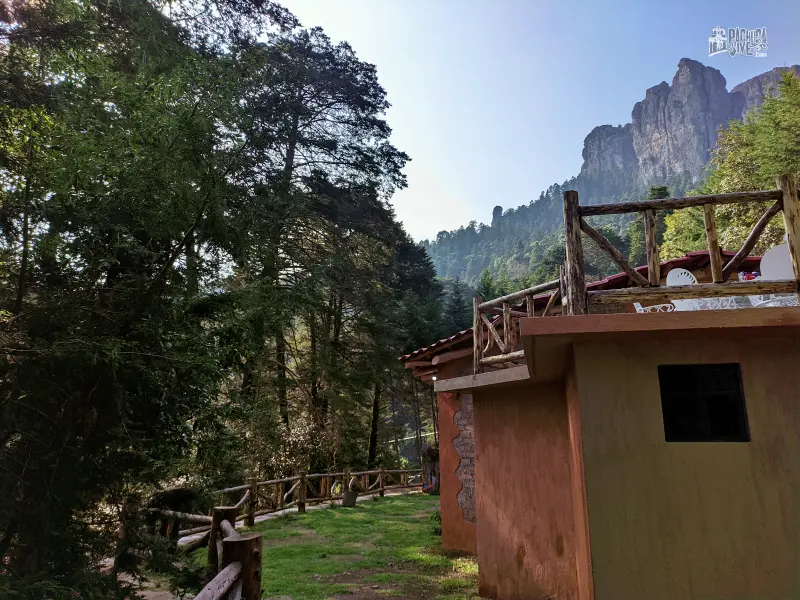 Casa de Tierra: la cabaña familiar ideal para disfrutar el bosque de Mineral del Chico