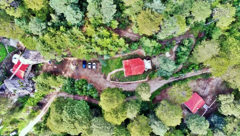 Casa de Tierra: la cabaña familiar ideal para disfrutar el bosque de Mineral del Chico